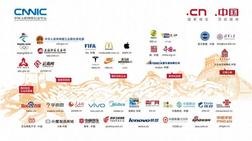 缤纷互联网世界，从国家域名开始 互联网域名注册服务