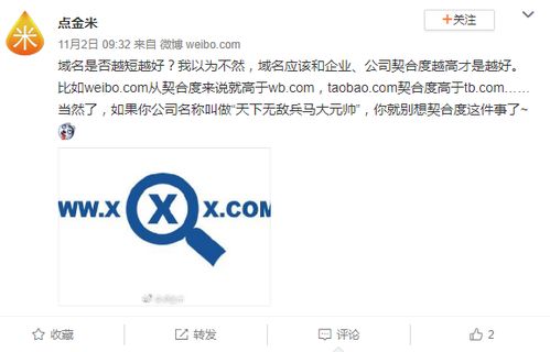 互联网巨头选择域名的核心因素解析——从小米、淘宝到亚马逊